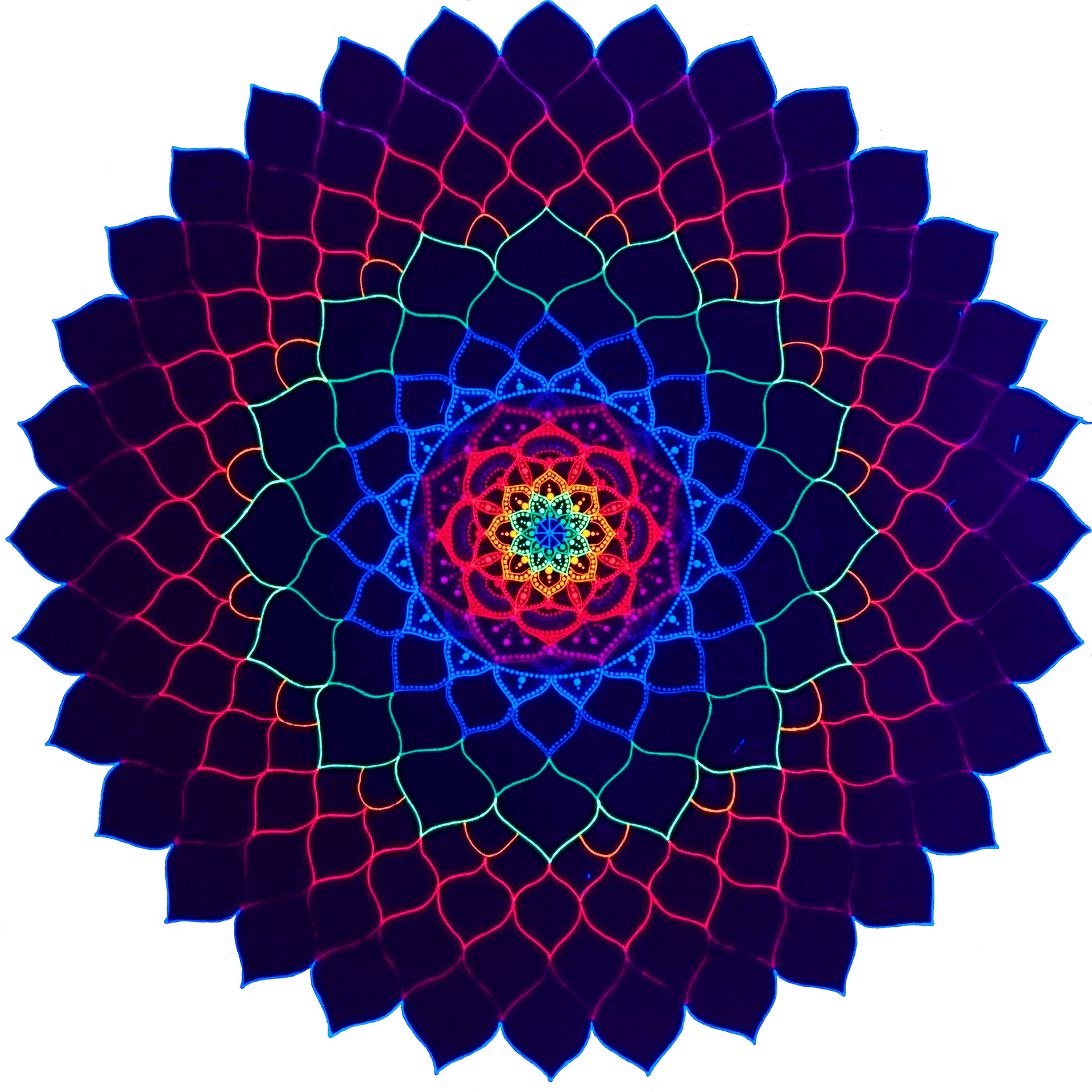 Космическая Авоська